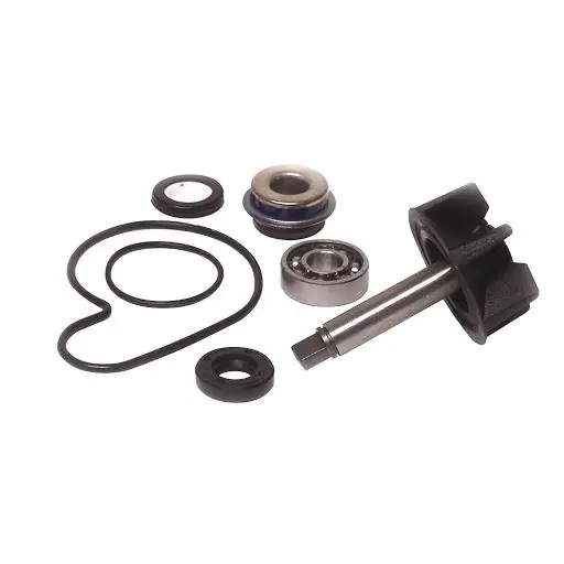 Suzuki uc epicuro 125 kit revisione pompa acqua bcr 1999 2001 Affare