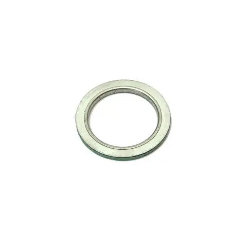 Offerta Lampo Guarnizione scarico centauro 45x53x2,5mm universale