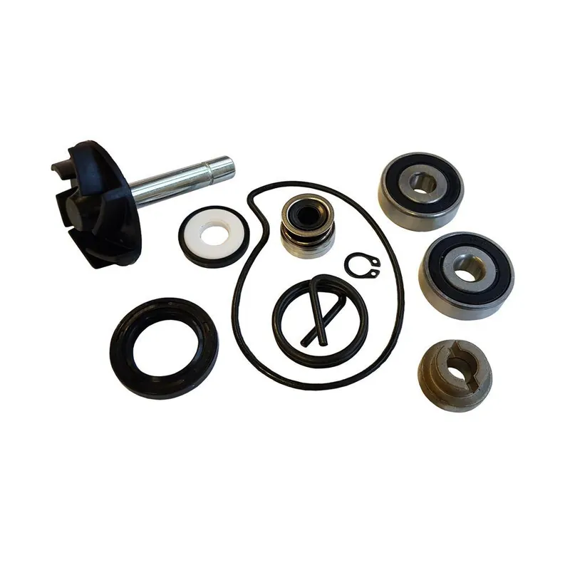 Piaggio beverly rst 250 kit revisione pompa acqua bcr 2004 2005 Novità