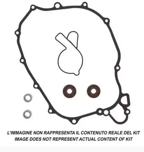 Promozione Esclusiva Husqvarna fc 250 kit revisione pompa acqua prox 2016 2019