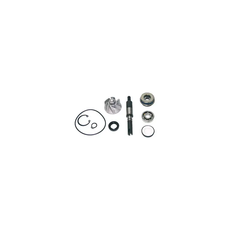 Spedizione Espresso KIT REV POMPA SH 125/150