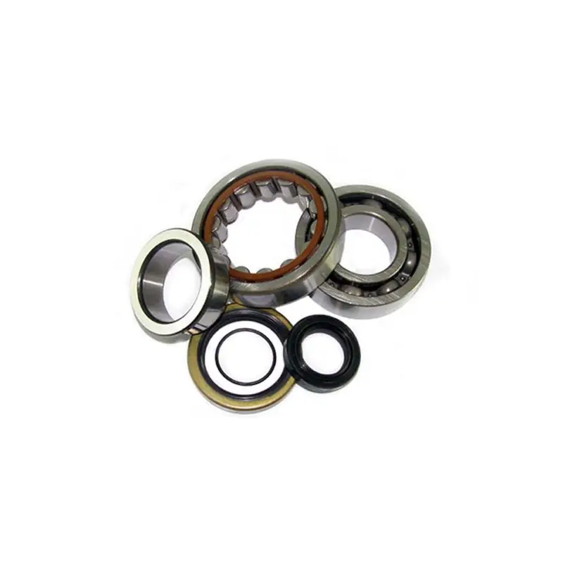 Promozione KIT CUSCINETTI E PARAOLIO PER ALBERO MOTORE ALL-BALLS (RIF: 24-1006)