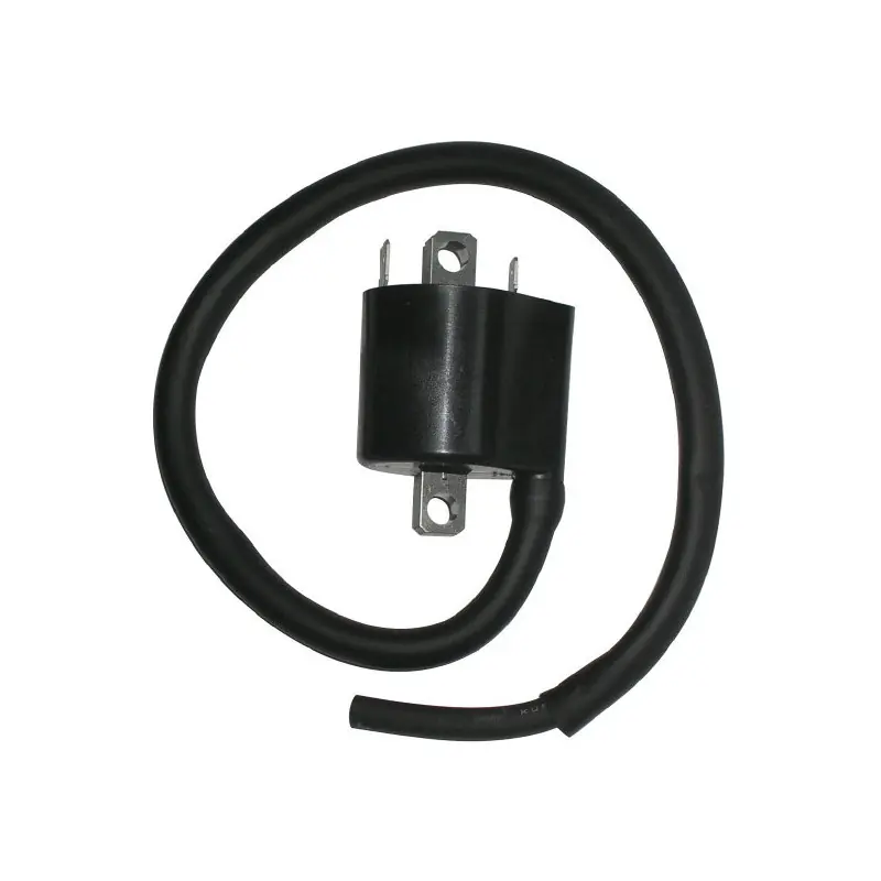 Compra Oggi Stesso BOBINA SUZUKI DL1000 - SV 1000