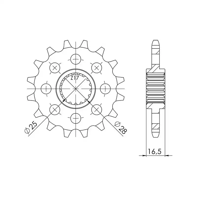 Compra Oggi Stesso PIGNONE P525 - Z17 (DIS.73400)