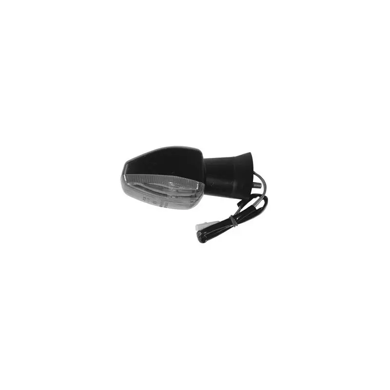 FANALE DIREZ.ANT.DX HONDA CBR600SPORT 01 Solo Oggi