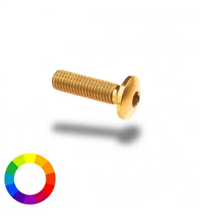 Subito Disponibile Bullone in ergal 002 testa bombata 6x35mm-Argento