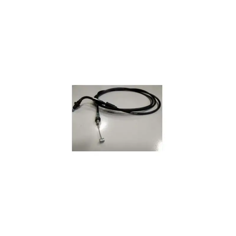 Reso Gratuito Trasm acceleratore honda 50 bali