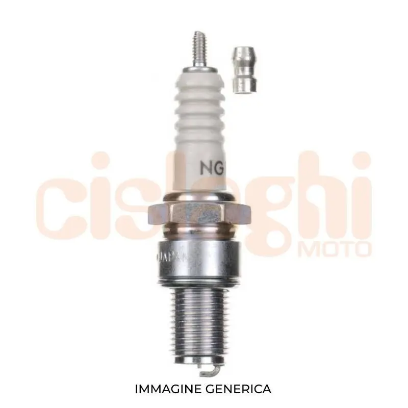 Bestseller Candela