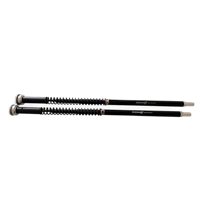 Spedizione Espresso Cartuccia Andreani Misano Evo 2 Kawasaki Z900 RS-