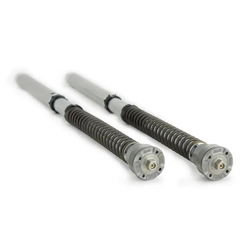 Cartuccia Ohlins Nix 30 Suzuki GSX-8S- Soddisfatti O Rimborsati