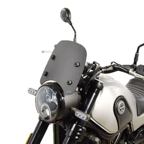 Spedizione Espresso Cupolino Isotta Basso Leoncino 500 nero opaco-