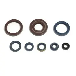 Economico Serie Paraolio Motore HUSQVARNA CR/WR125 97-14 - P400220400128