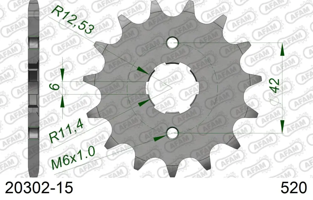 Pignone AFAM 20302-15 passo 520 E-TON VXL 250 ST VECTOR 2006 -2011 Non Perdere