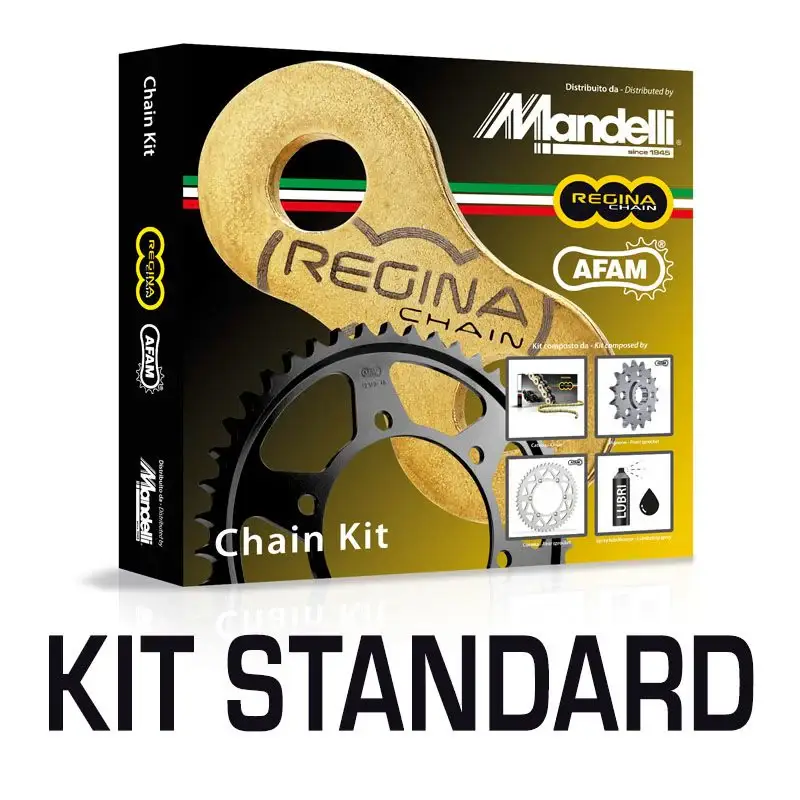 Ordina Subito REGINA Kit trasmissione SCORPA SY 250  04 05