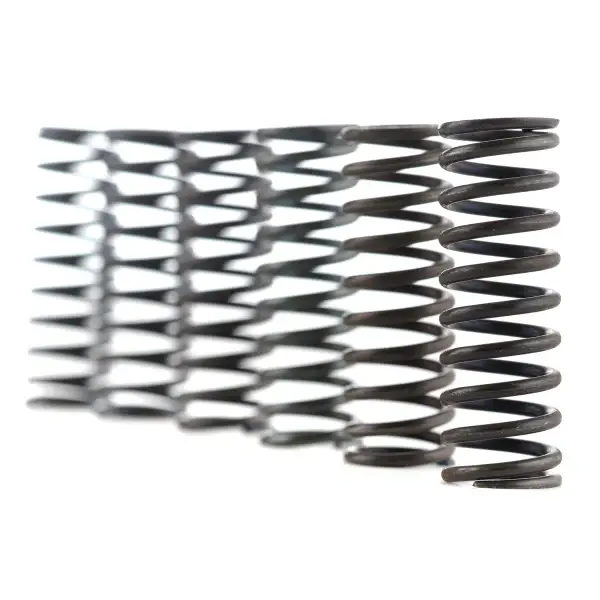 Compra Online Kit Molle Frizione FERODO FSS0220