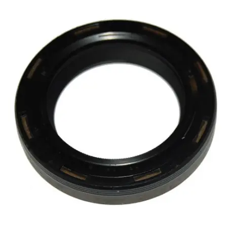 ANELLO PARAOLIO MOTORE LOMBARDINI LATO VOLANO Compra Oggi Stesso