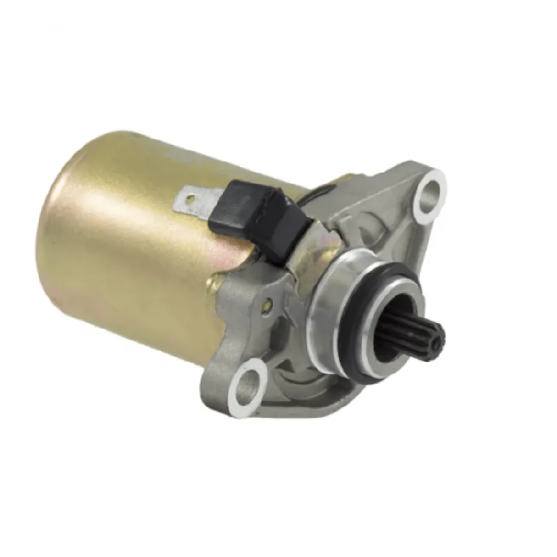 Spedizione Espresso MOTORINO AVVIAMENTO GILERA PIAGGIO 82530R